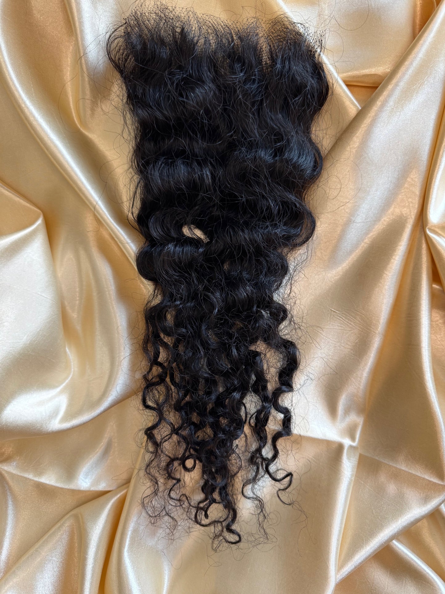 Burmese Curly HD frontal