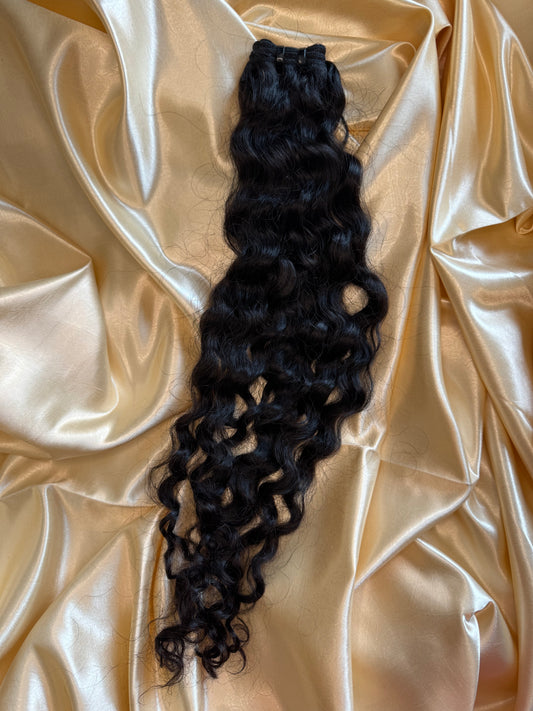 Burmese Curly